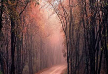 懂球译站｜苦苦扛起热刺的“亚洲一哥”，能否陪球队重回巅峰？.