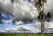 蜂鸟电竞官网：比利时队名单：丁丁领衔卢卡库在列 库尔图瓦时隔2年回归.