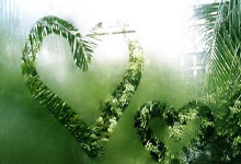 参赛代表团规模为历届之最！亚冬会开幕式亮点抢先看人民日报客户端.