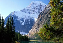 [综合]活动在阳光下 锻练在快乐中.