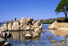 蜂鸟电竞官网：欧冠夺冠赔率：巴萨逼近皇马 黑马维拉跻身前10.